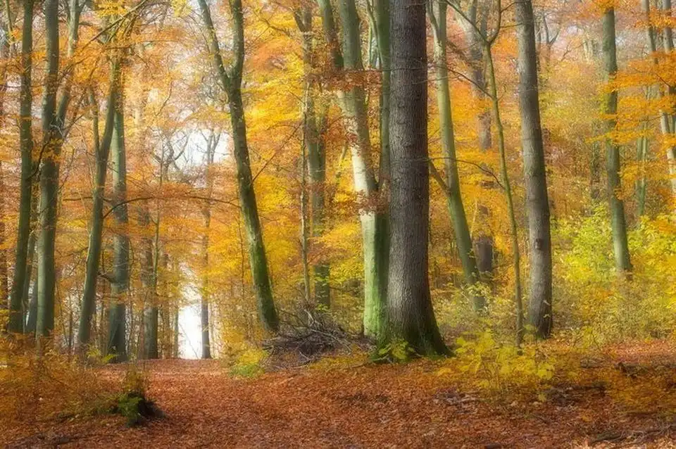 Sie sucht ihn Menden