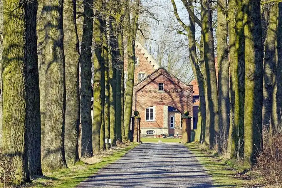 Single Münsterland