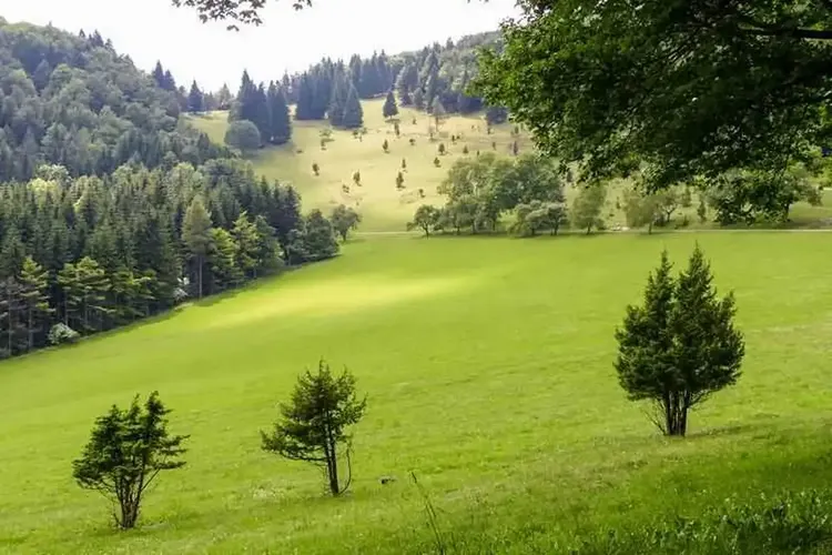 Erotik Balingen