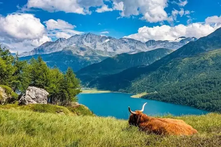 Sex Graubünden