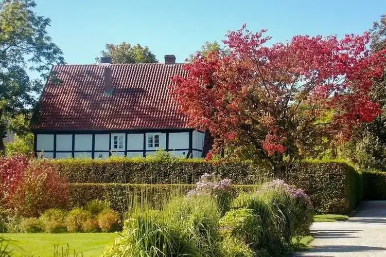 Sexdate Gütersloh
