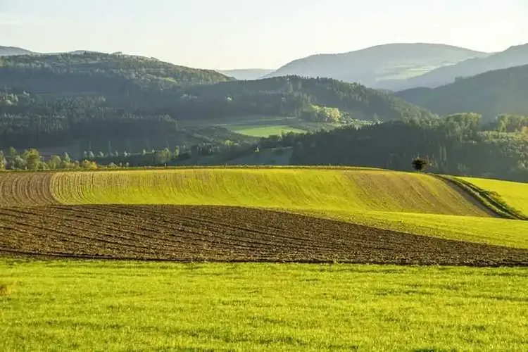 Erotik Gummersbach