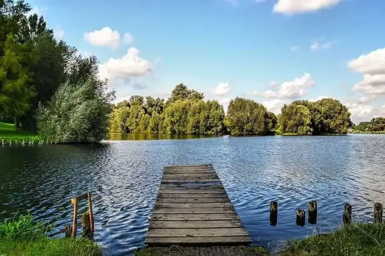 Single Salzgitter